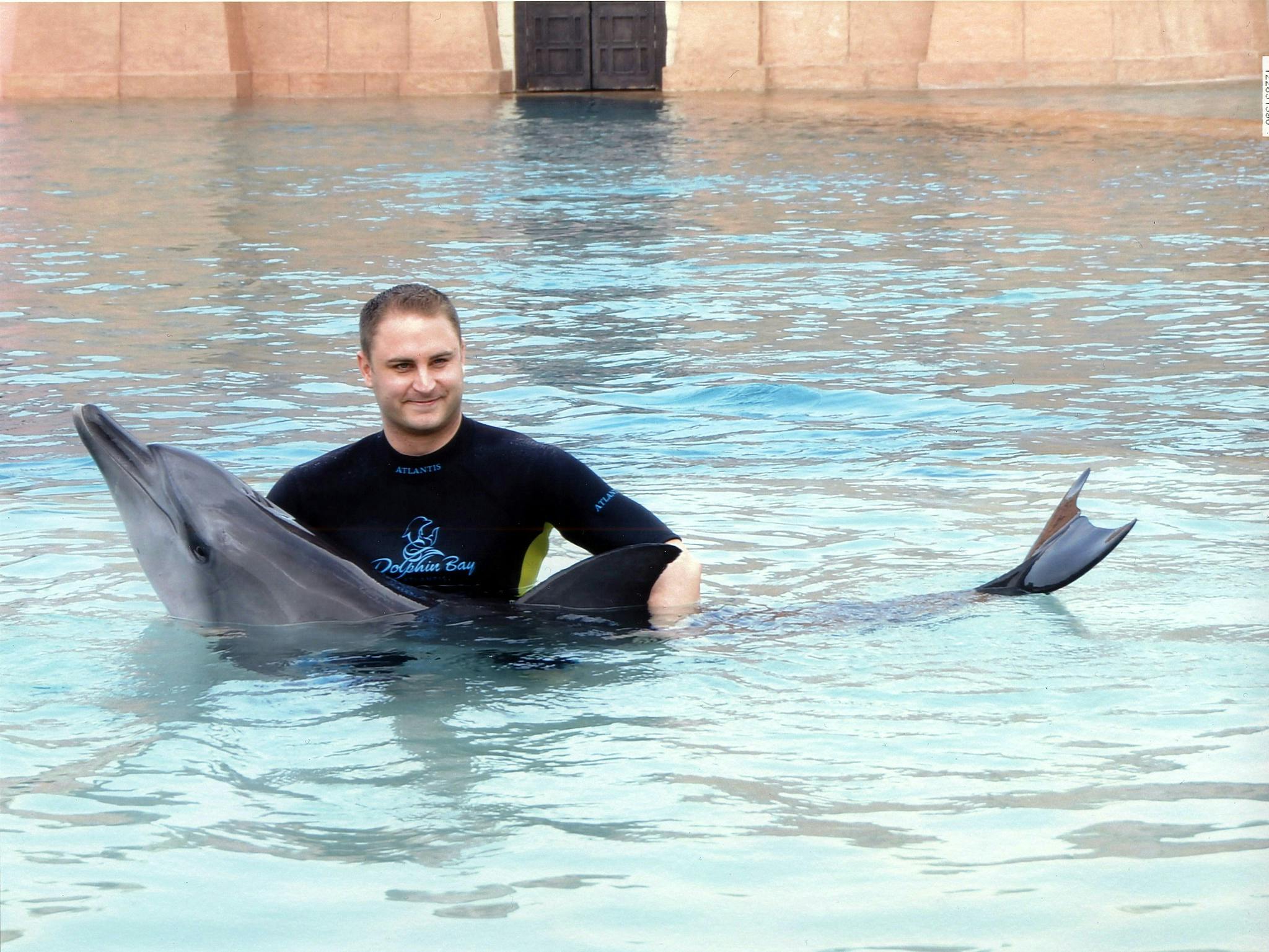 Swim with Dolphins at Dolphin Bay